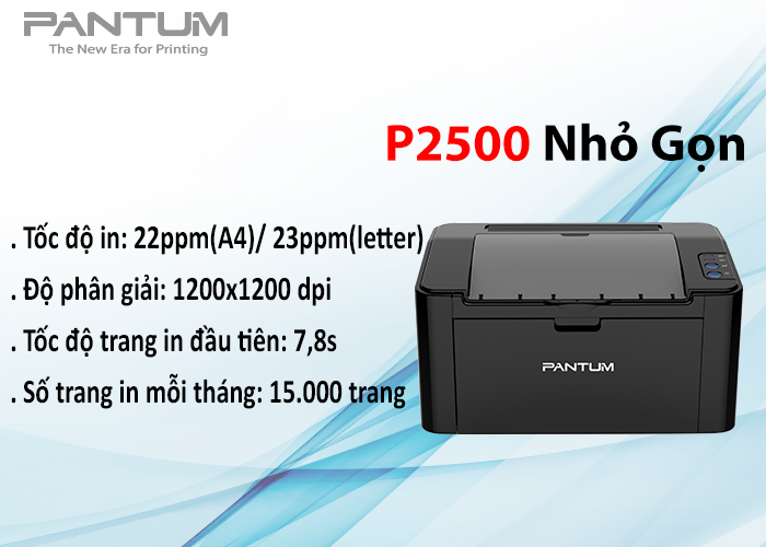 Máy in Pantum P2500